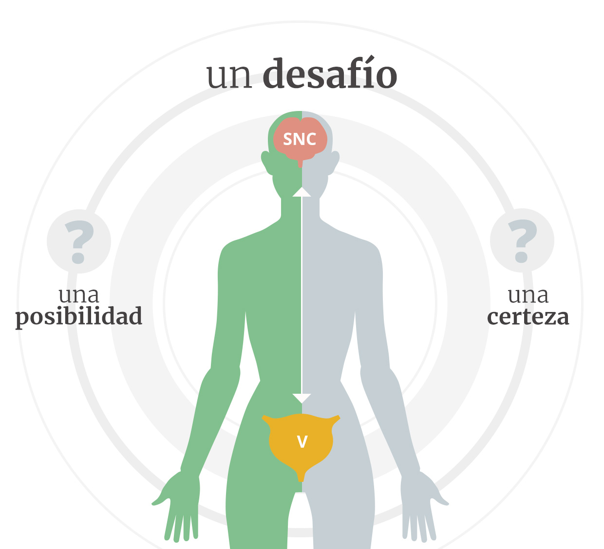 grafico grafico